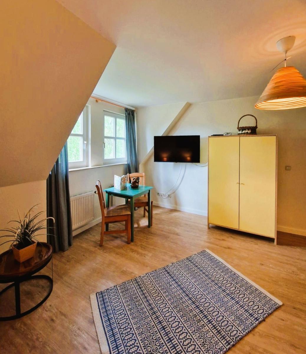 Wohnraum mit Holzboden, TV, Kleiderschrank und Fenster. Teppich und Tisch sind vorhanden.