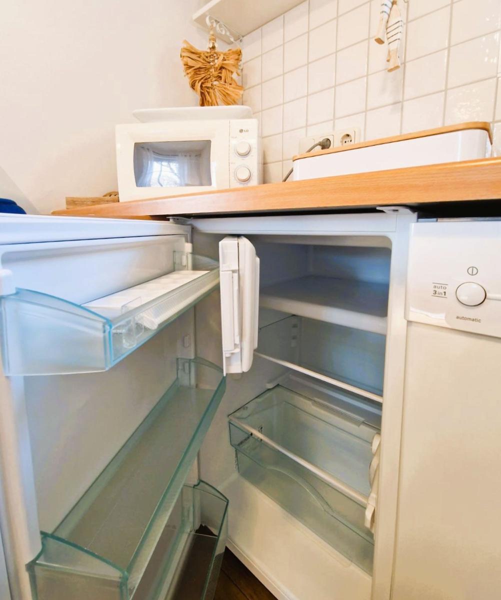 Kleine Küchenzeile mit Kühlschrank und Mikrowelle.