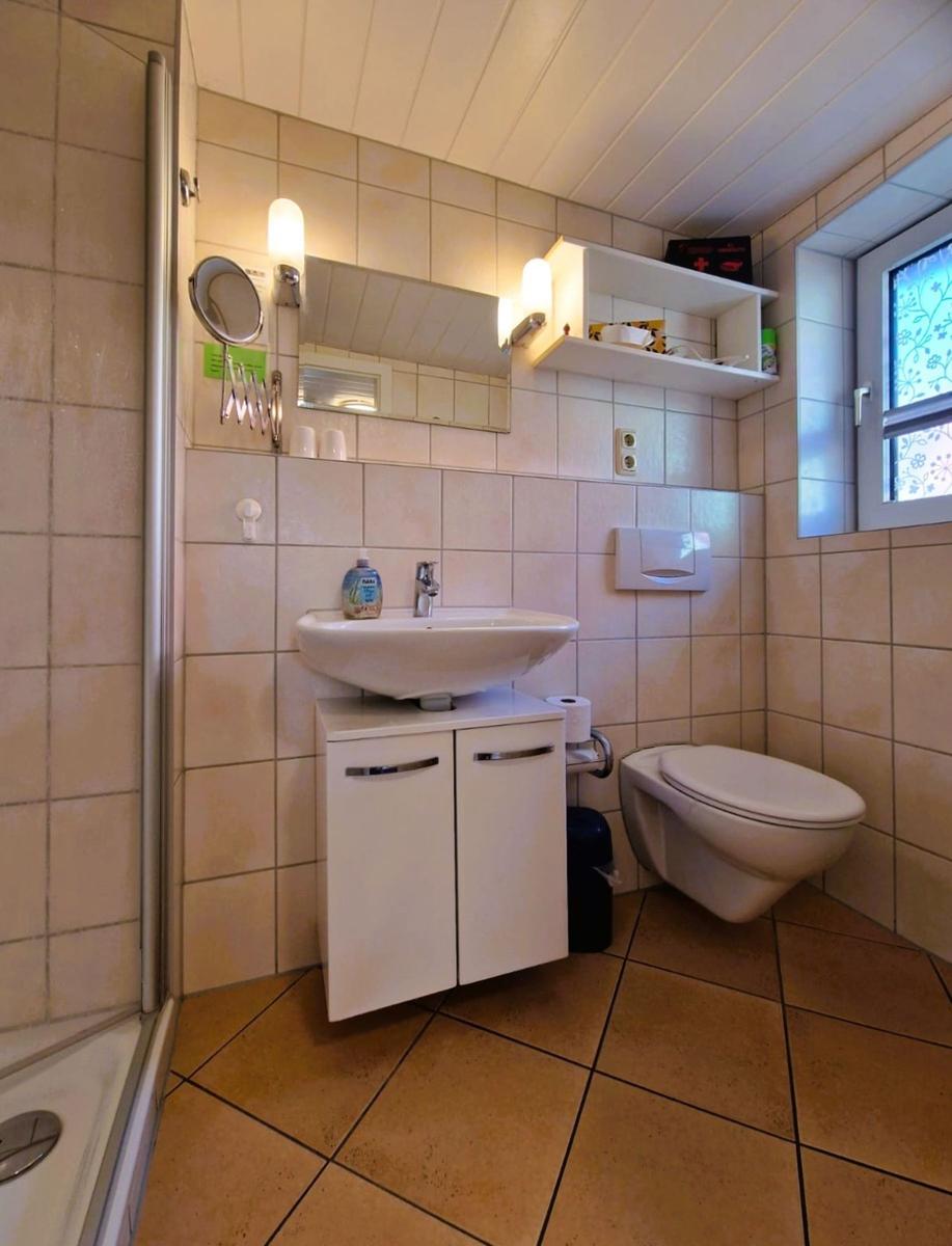 Bathroom with sink, toilet, and shower. Window with flower pattern.