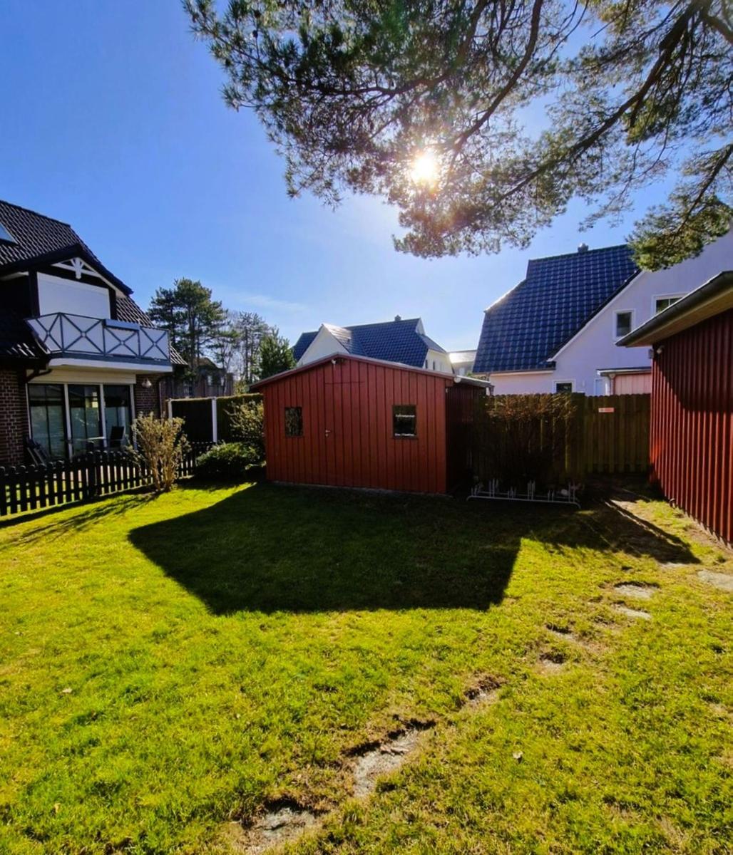 Red garden shed in sunny garden with grass and trees