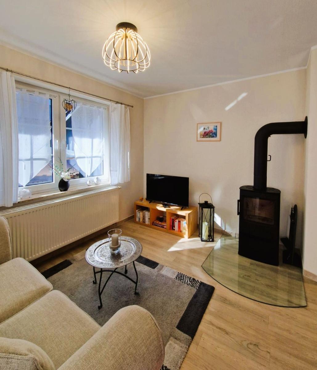 Living room with sofa, TV, wood stove, and window.