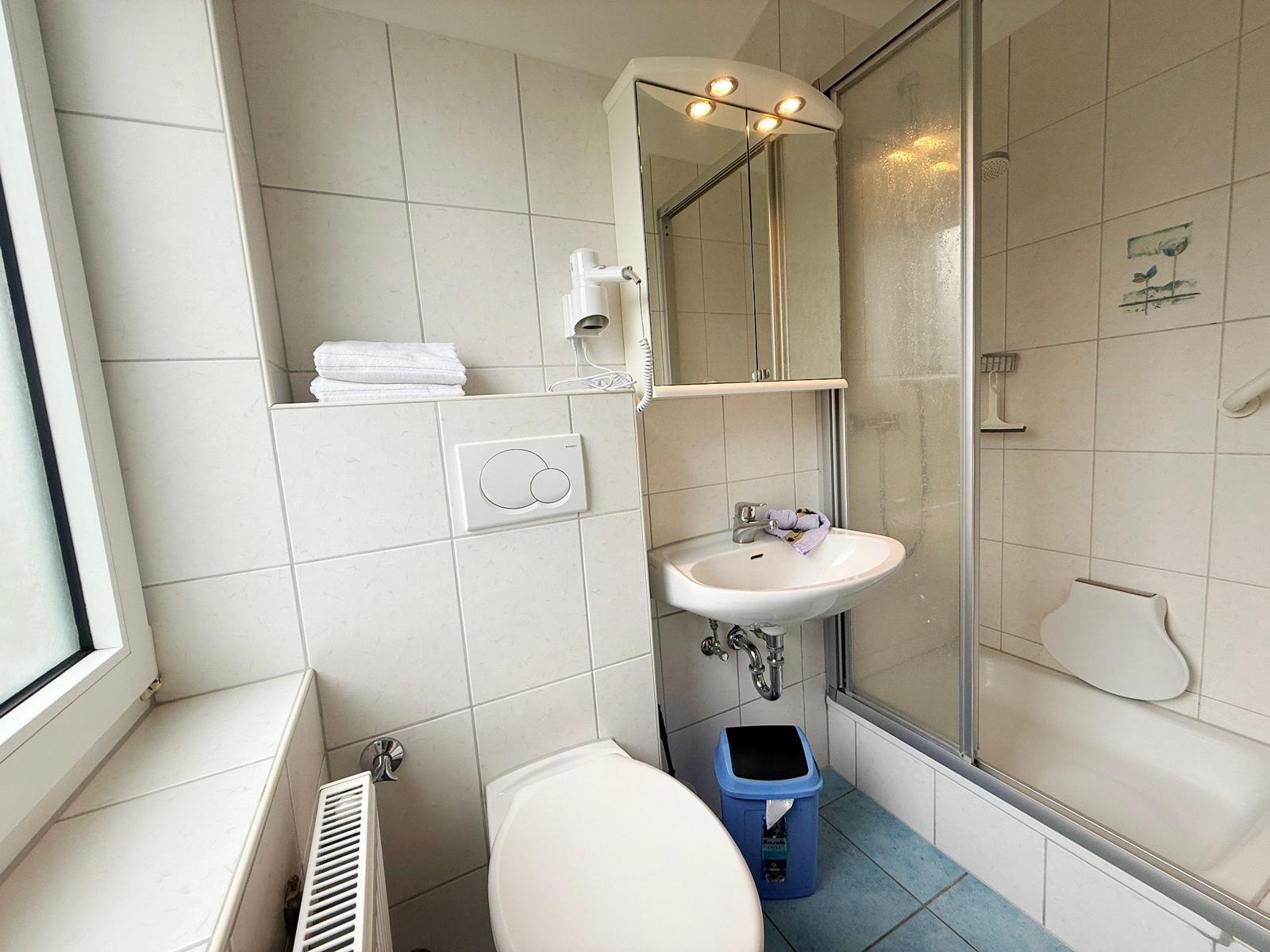 Badezimmer mit Dusche, Waschbecken und Toilette. Fenster, Handtuch und Spiegel sichtbar.