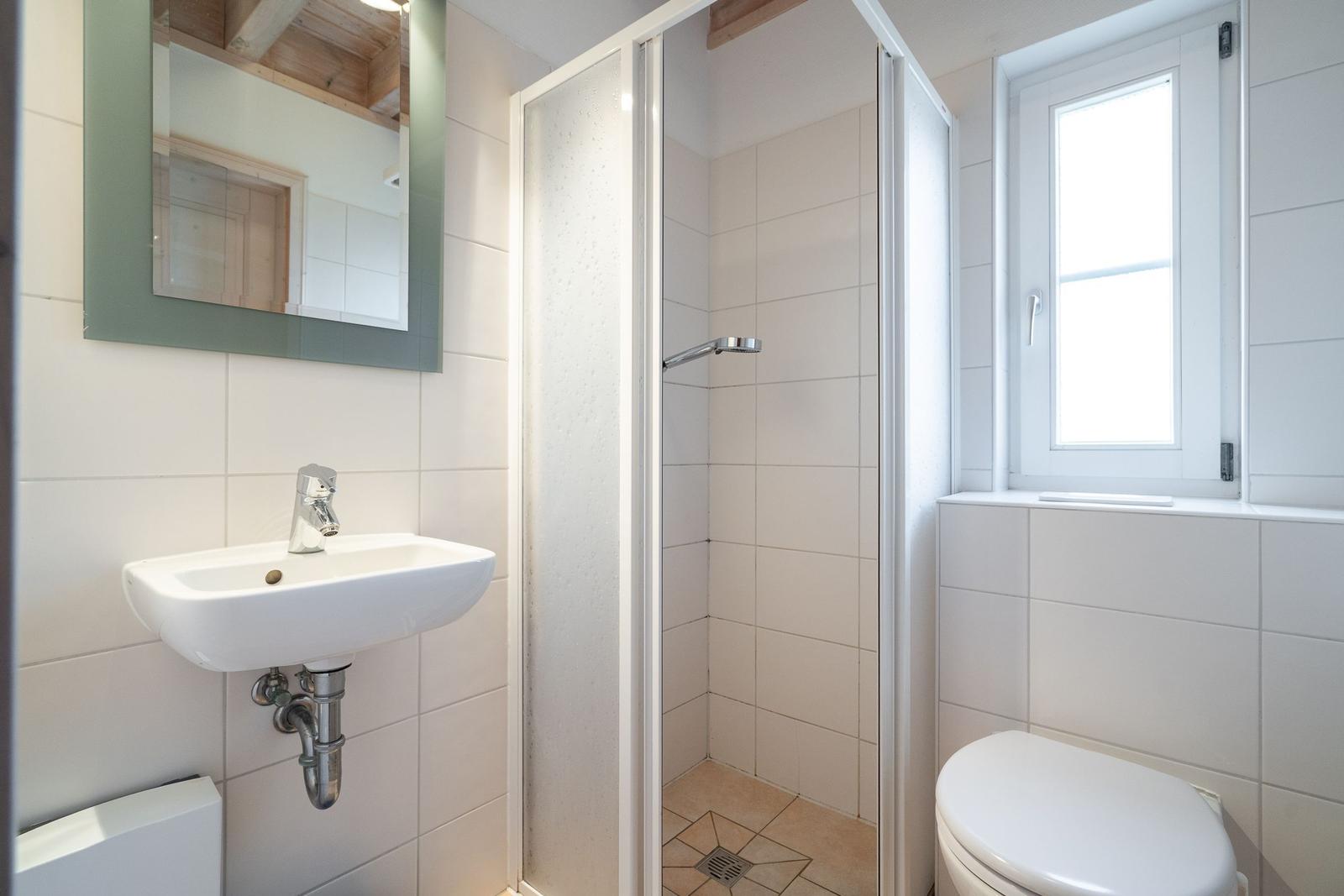 Bathroom with shower, sink, and toilet. Window provides natural light.