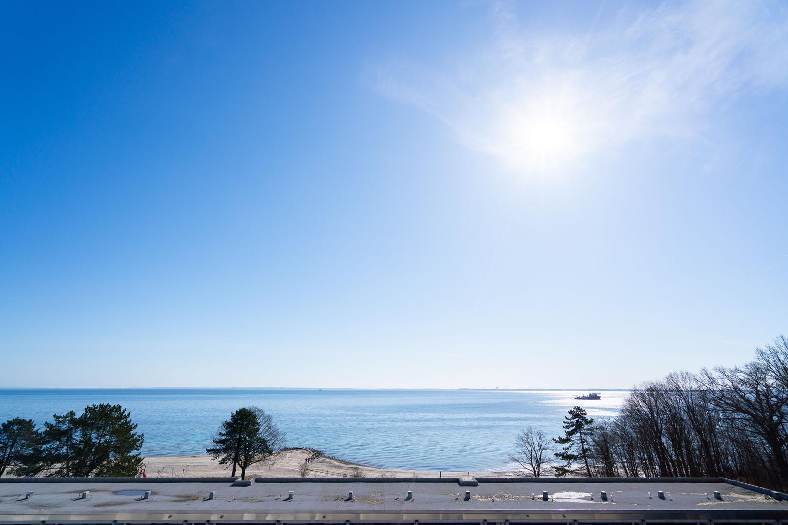 Blick auf einen Strand mit Bäumen und Meer unter blauem Himmel mit Sonne.