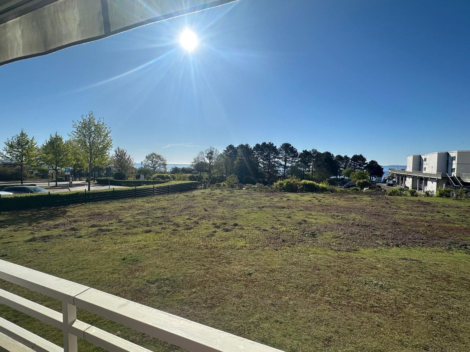 Blick auf eine grüne Wiese unter blauem Himmel mit Sonne und Bäumen im Hintergrund.