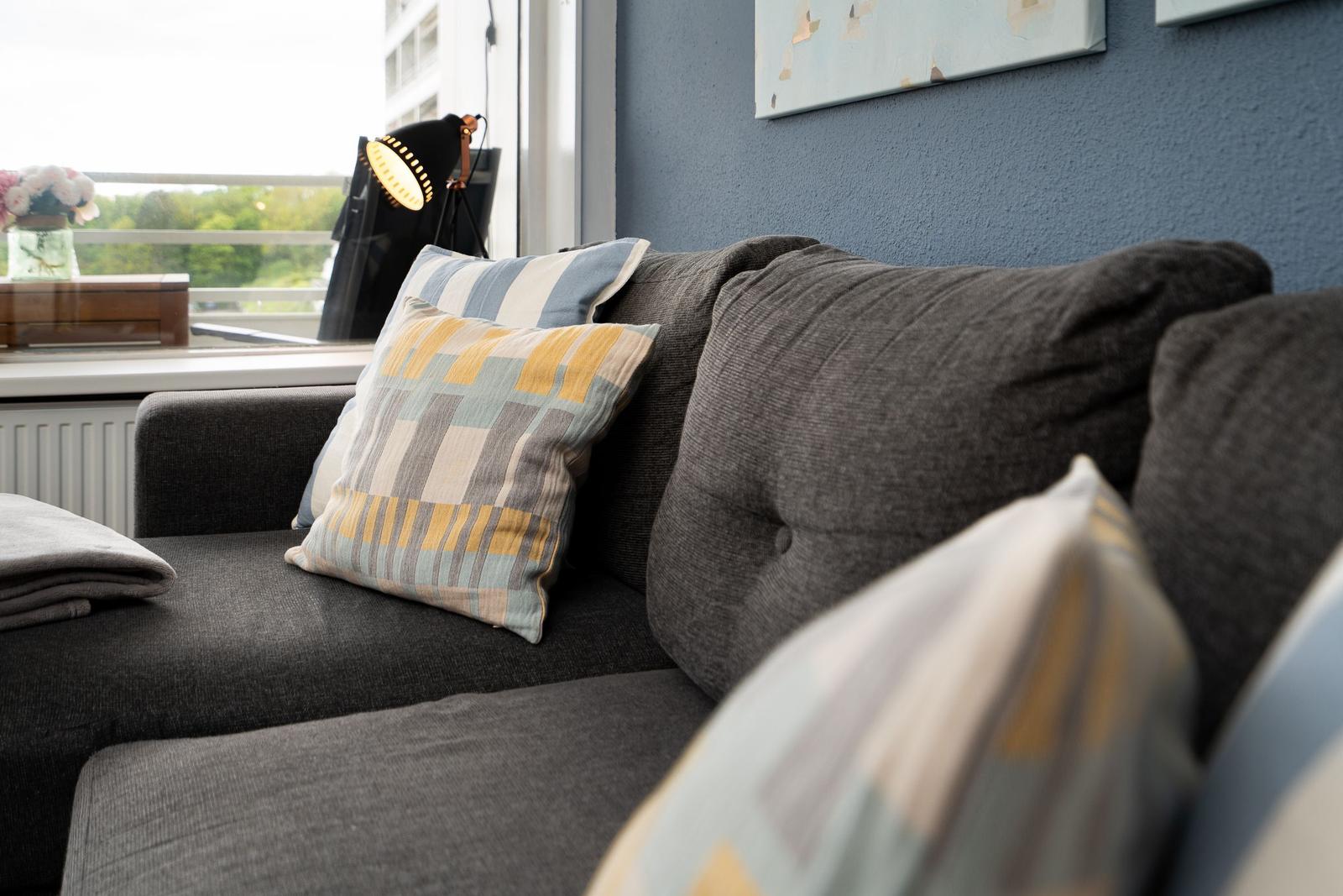 Grauer Sofa mit Kissen, Fensterblick und Wandbild