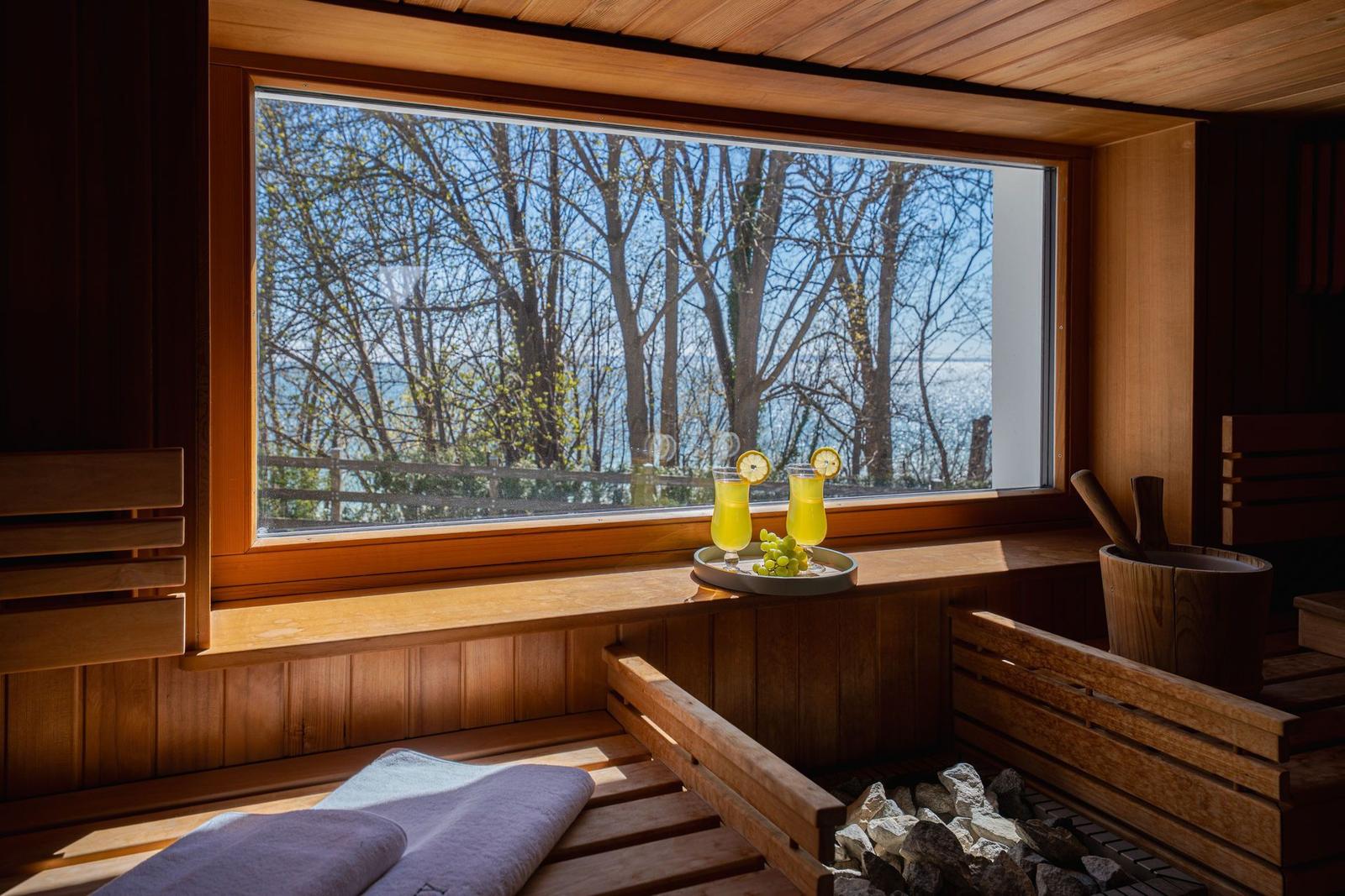 Sauna mit Holzbank, Steinofen und Blick auf Wald und Wasser.