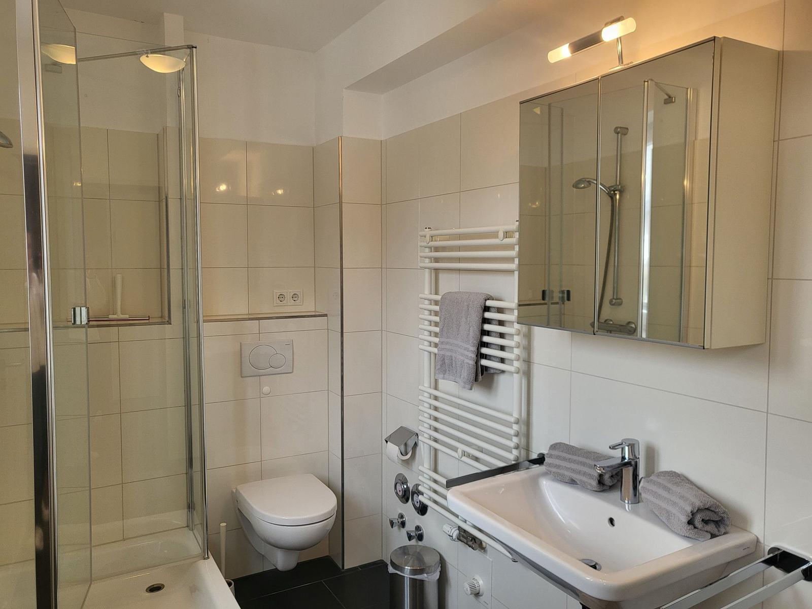 Badezimmer mit Dusche, WC und Waschbecken mit Spiegelschrank.