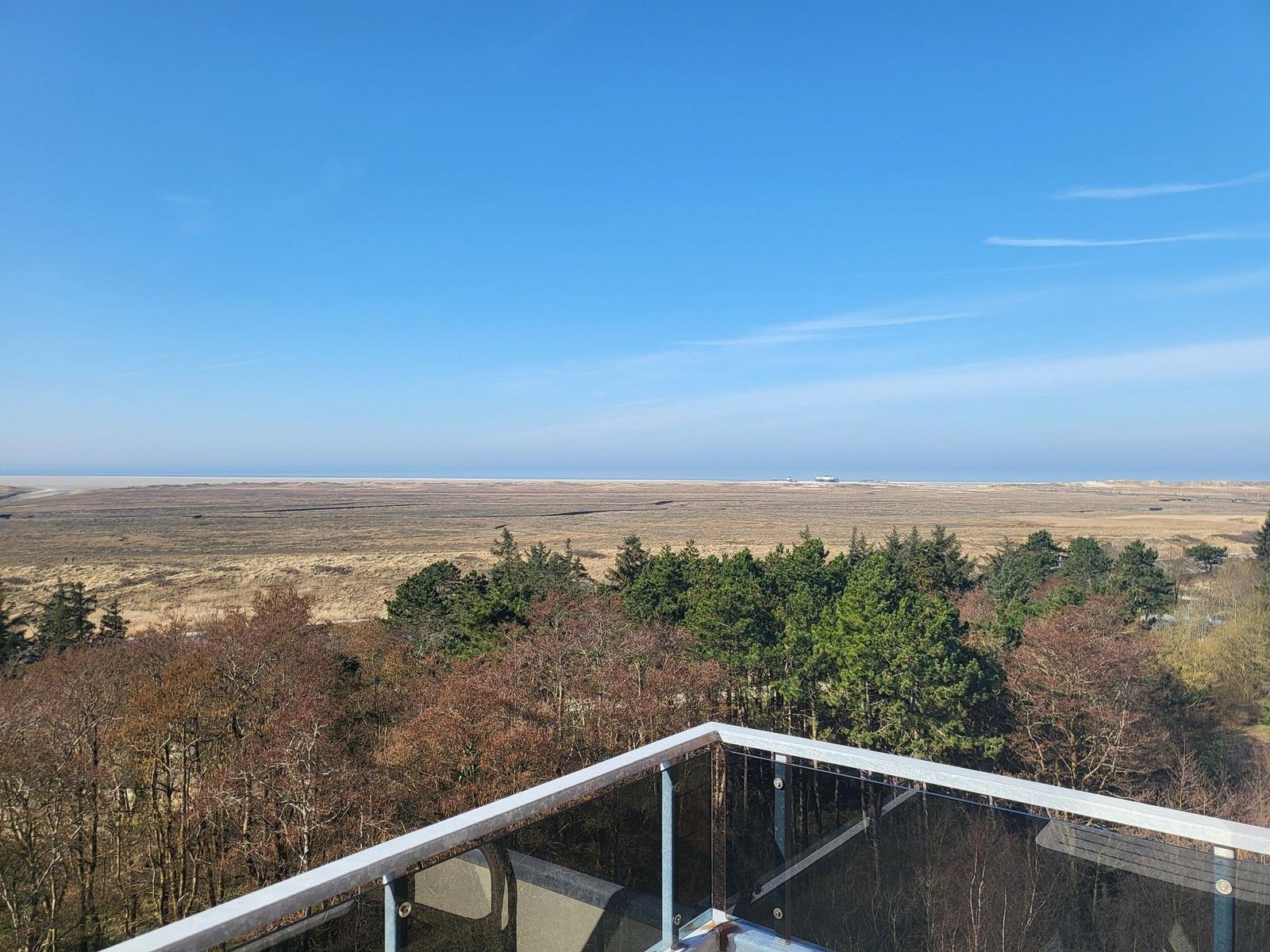 Terrasse mit Blick auf Wald und Strand