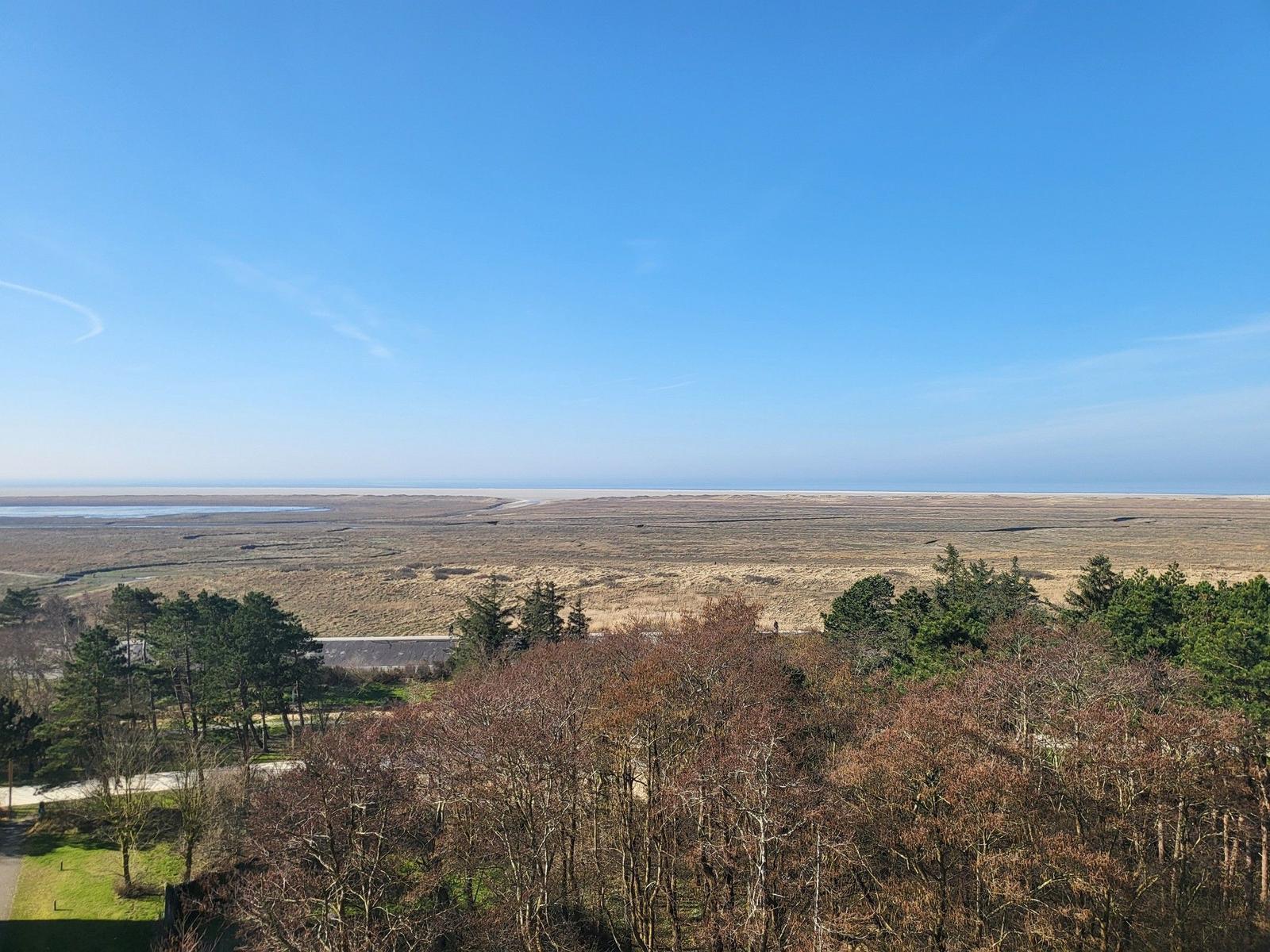 Weitläufiger Blick auf Felder und Bäume unter blauem Himmel