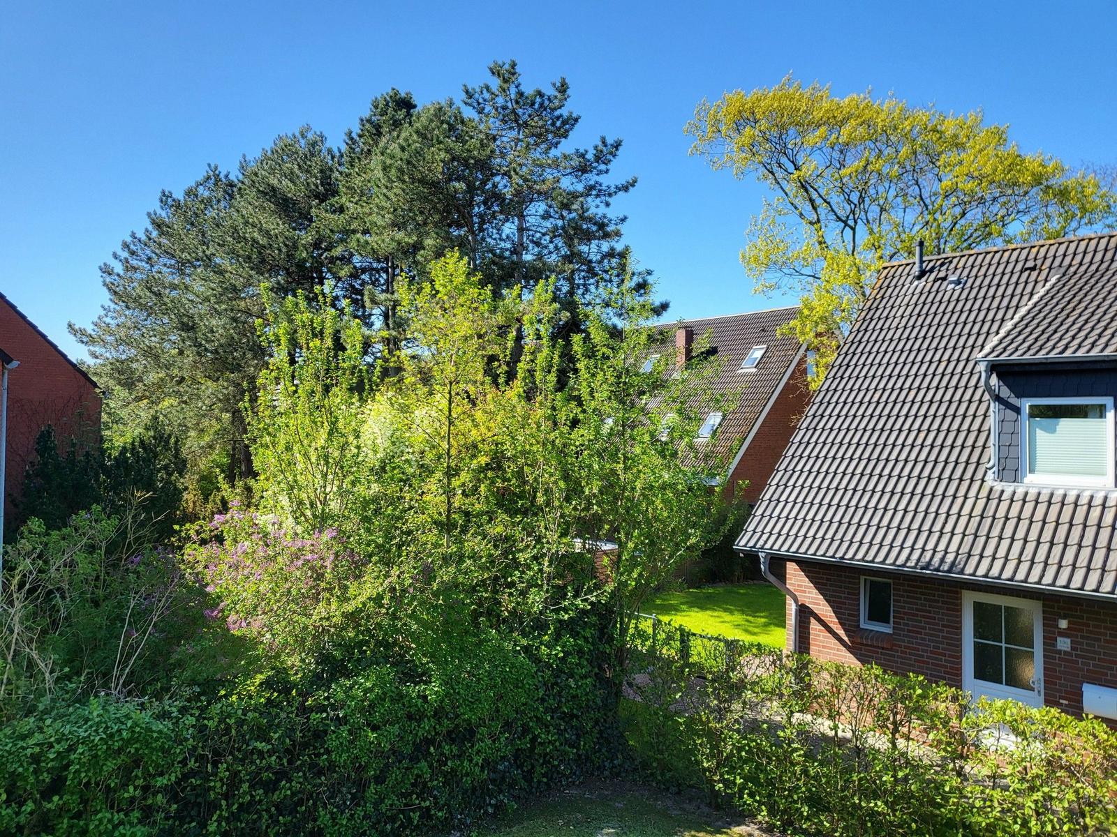 Haus mit Garten, Bäumen und blauem Himmel. Grünflächen und Wohngebäude im Hintergrund.