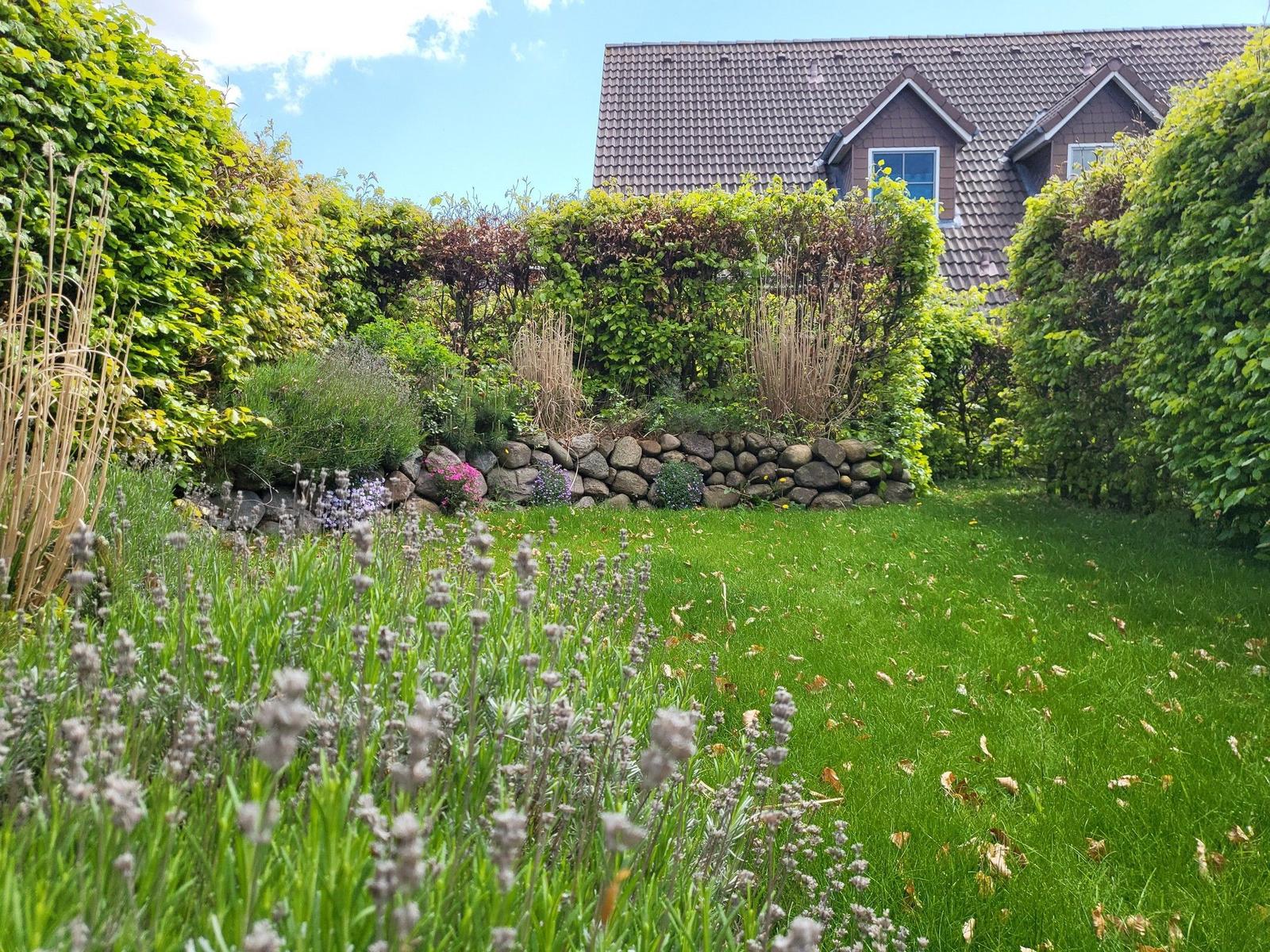 Grüner Garten mit Lavendel und Steinmauer. Im Hintergrund Haus mit Dachgauben.