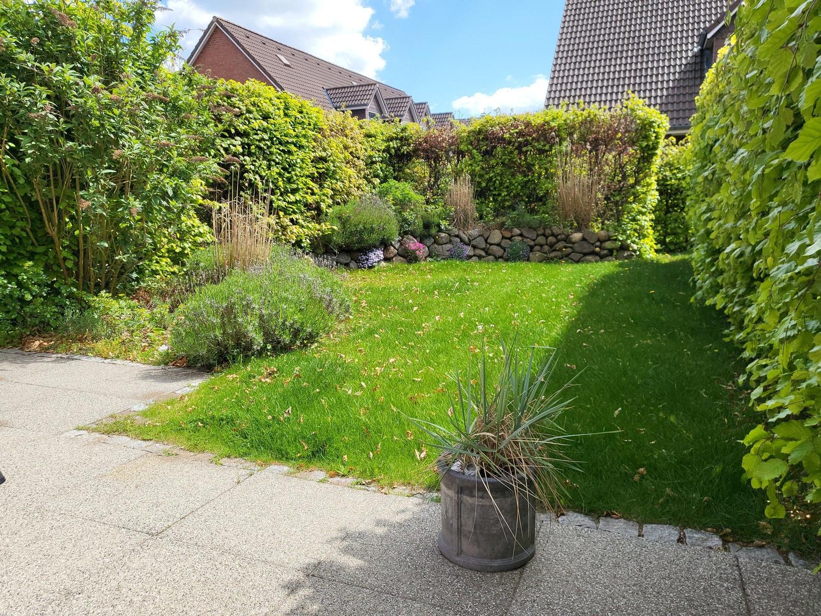Garten mit Rasenfläche, Hecken und Pflanzen. Im Vordergrund steht ein Topf mit einer Pflanze.