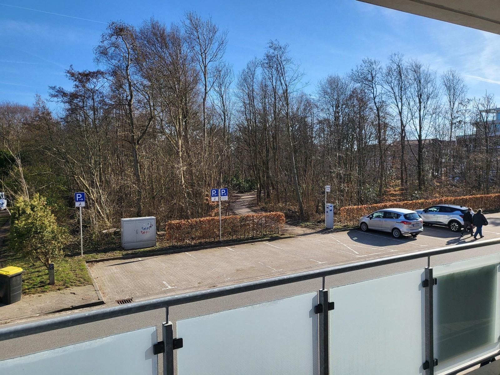 Blick auf Parkplatz mit Bäumen und zwei geparkten Autos.