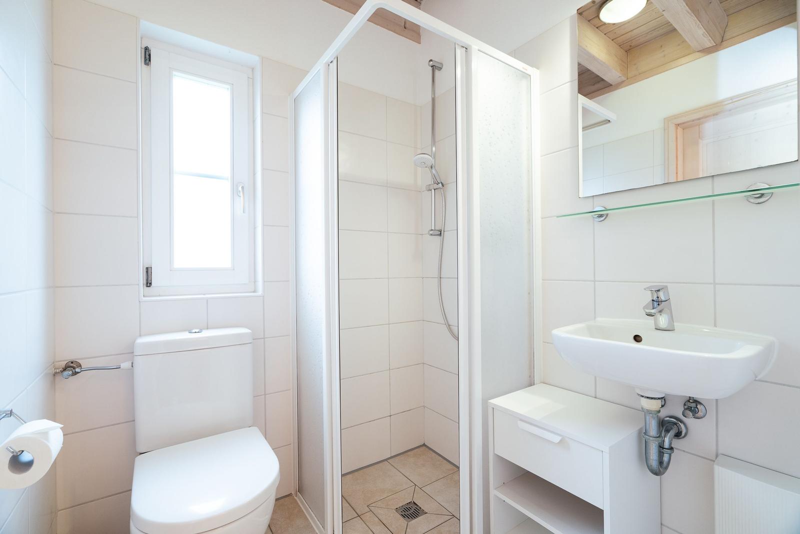 Bathroom with shower, sink, and toilet. Window and mirror visible.