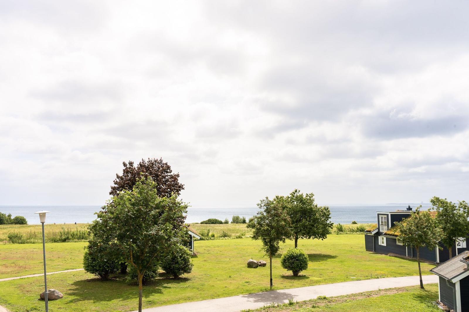 Green lawn with trees, path, and view of the sea. Dark blue houses with grass roof.