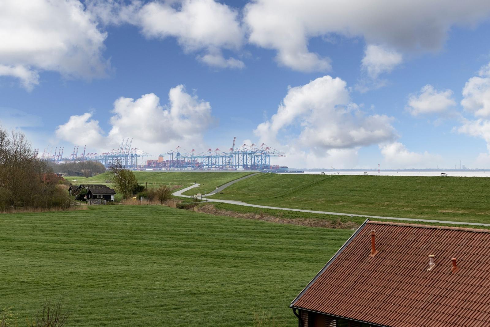 Grünes Feld mit Blick auf Hafen und Kräne unter blauem Himmel.