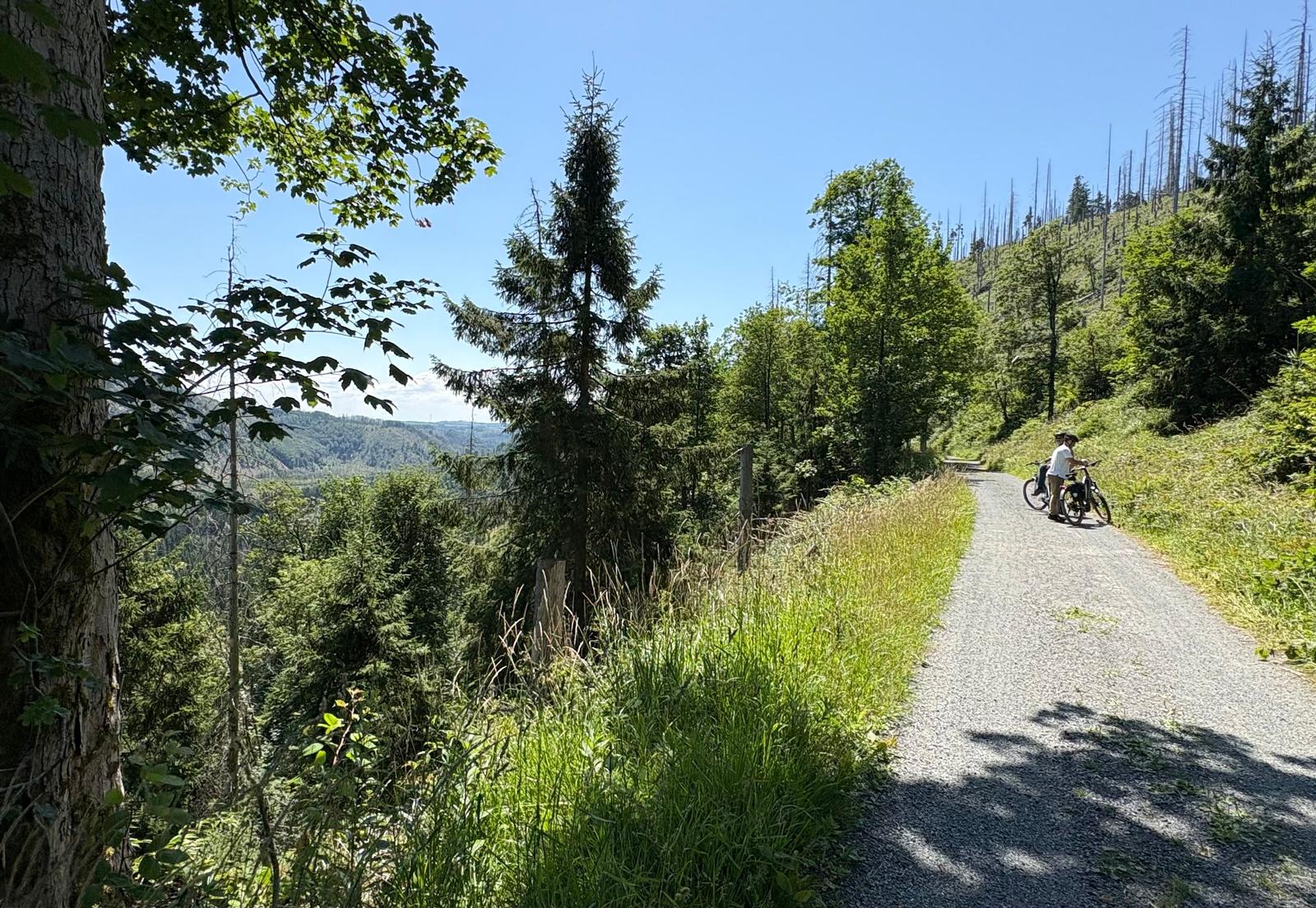 Waldweg mit Fahrradfahrern und Blick auf Tal und Berge