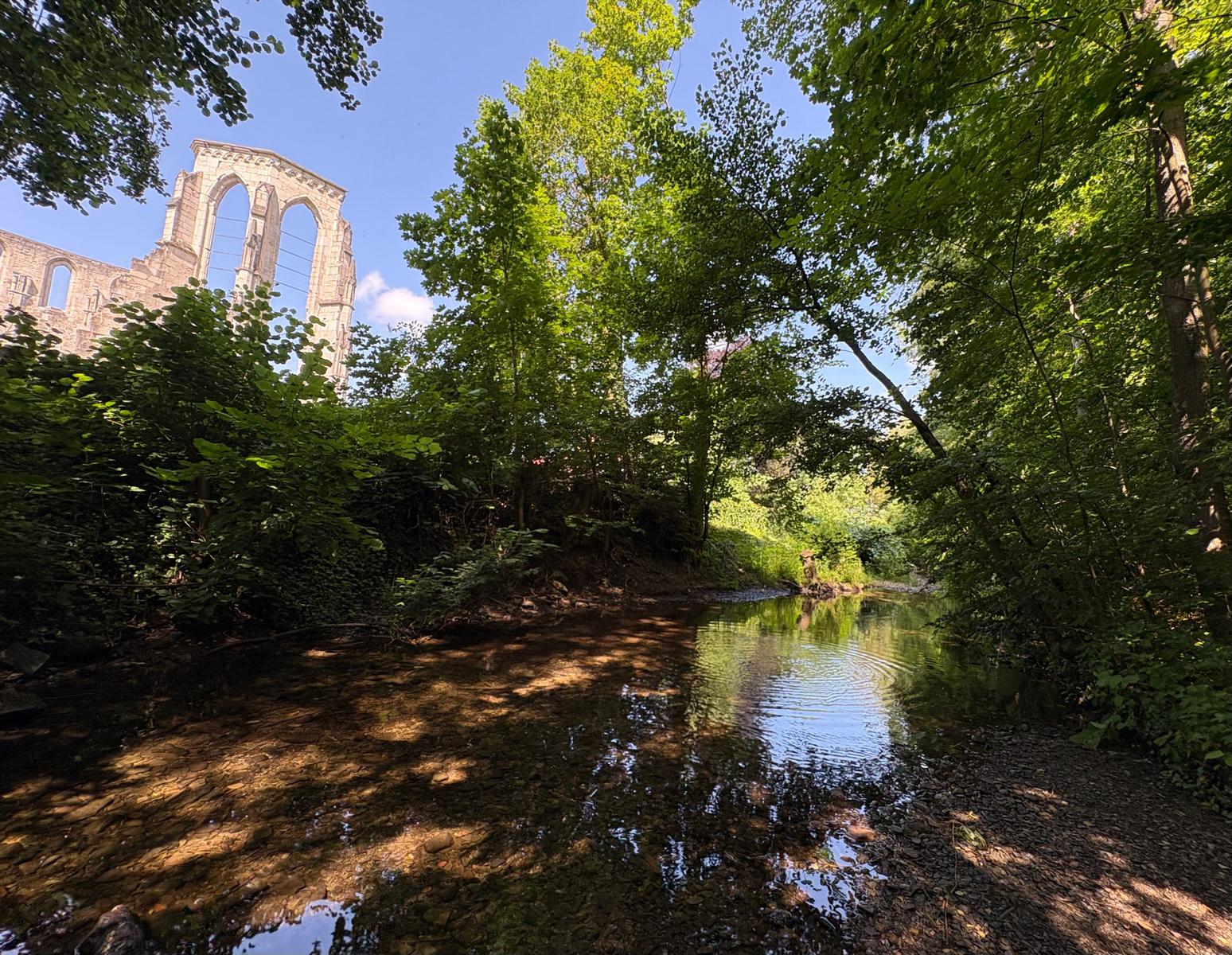 Fluss durch Wald mit Ruinen im Hintergrund