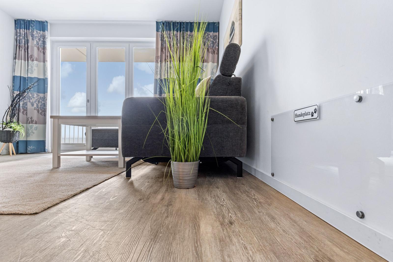 Wohnzimmer mit Sofa, Pflanze und Fenster zur Terrasse