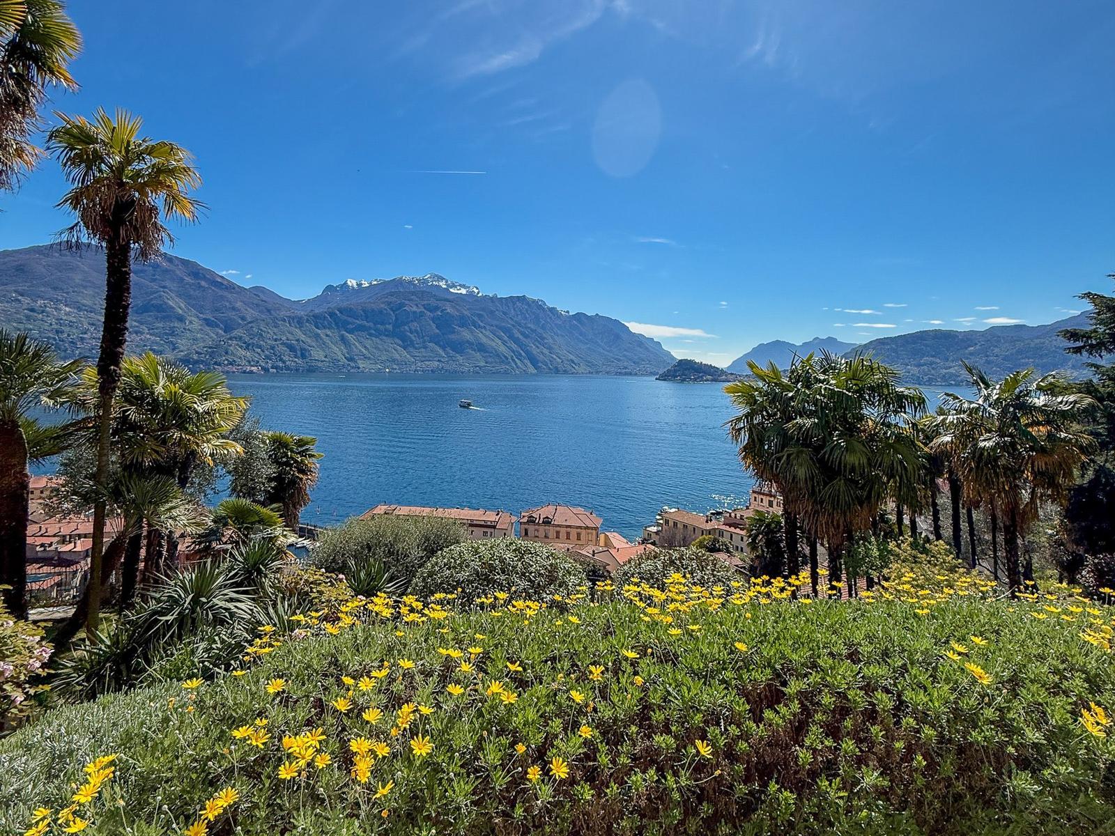wunderschöne Aussicht auf Palmbäume, See und Berge