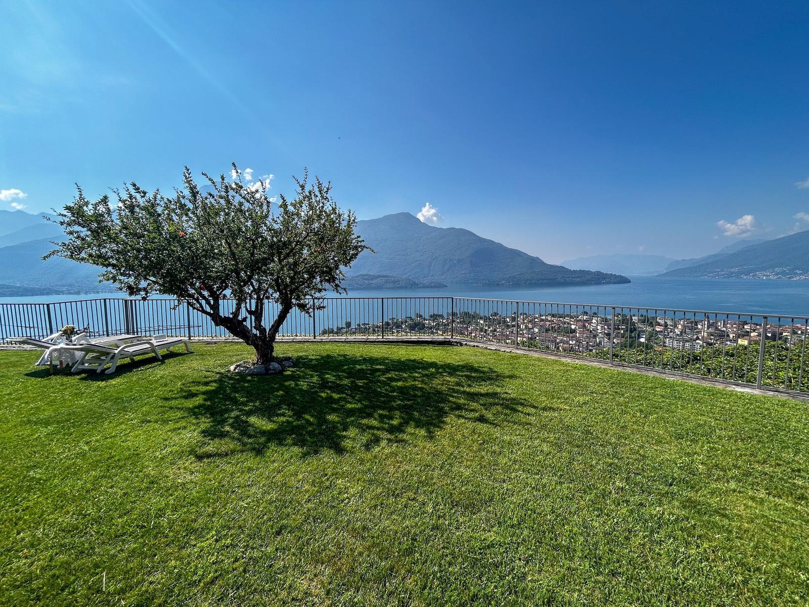 Grüner Rasenbereich mit Baum und Liegestühlen. Blick auf See und Berglandschaft.