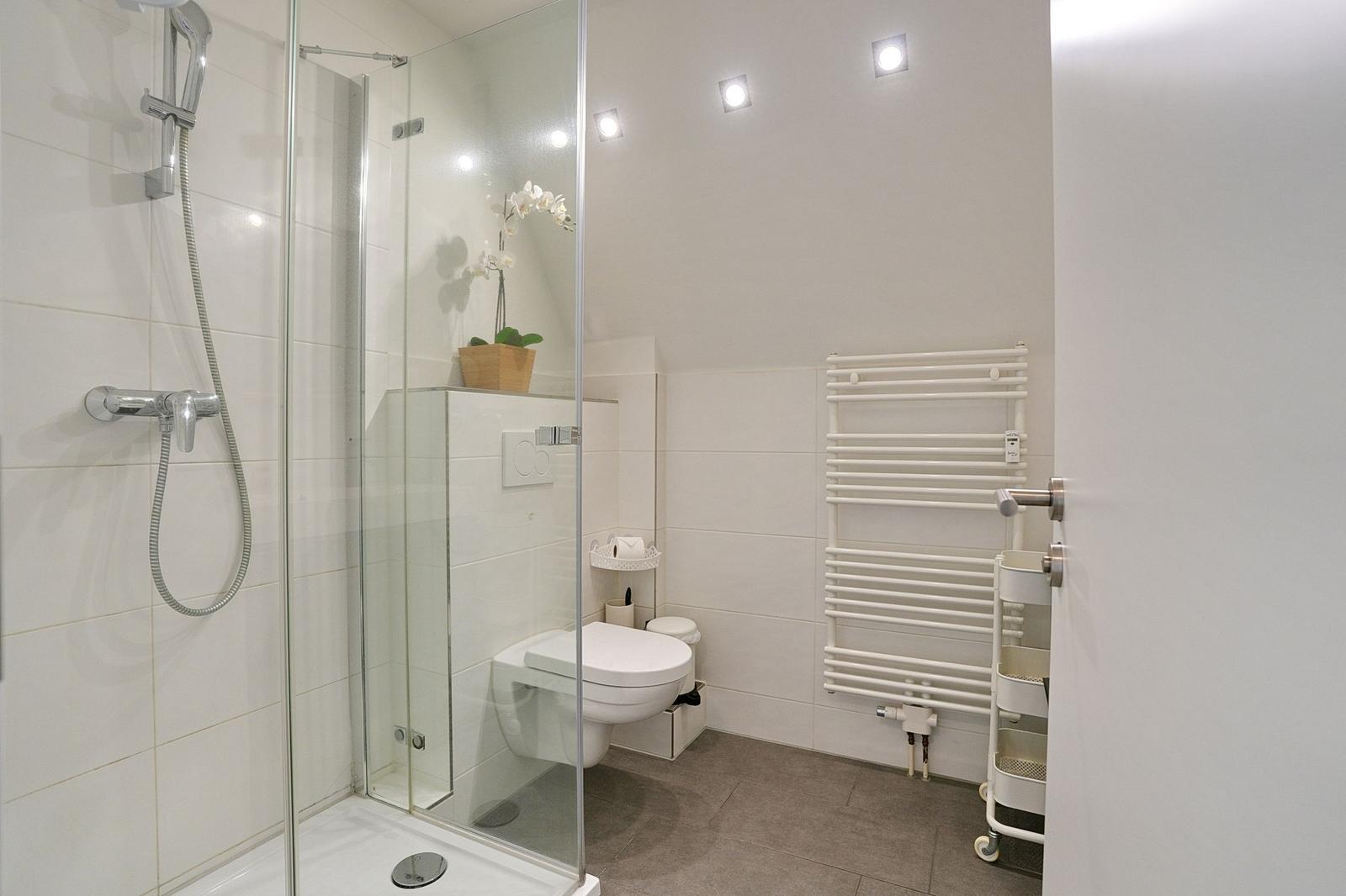 Bad mit Dusche, Toilette und Heizkörper