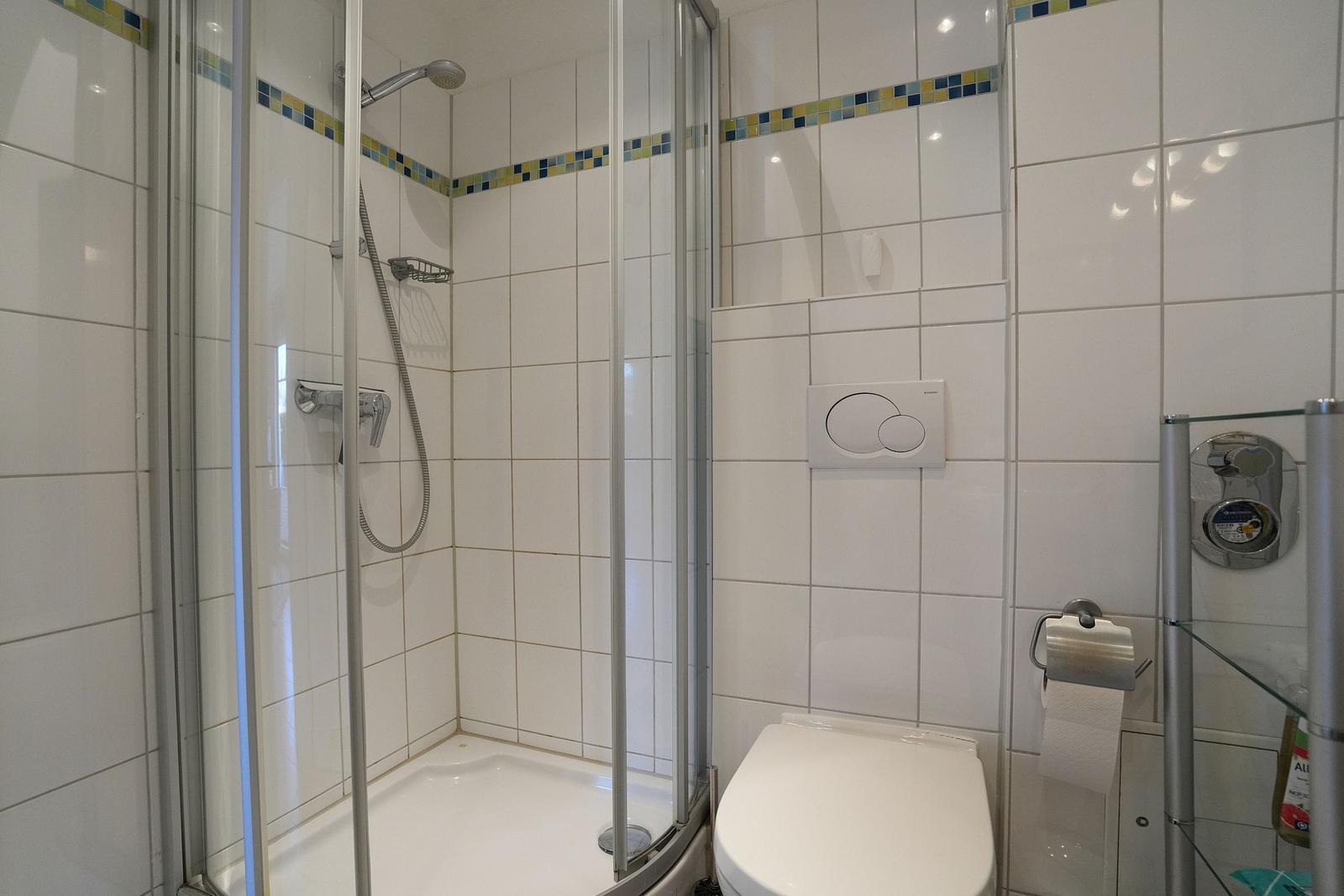 Bad mit Dusche, WC und Toilettenpapierhalter an der Wand.