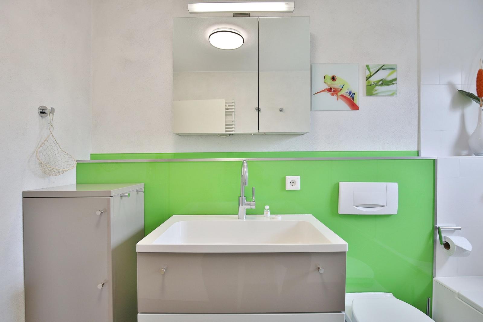 Bathroom with green wall panel, sink, and mirror cabinet.