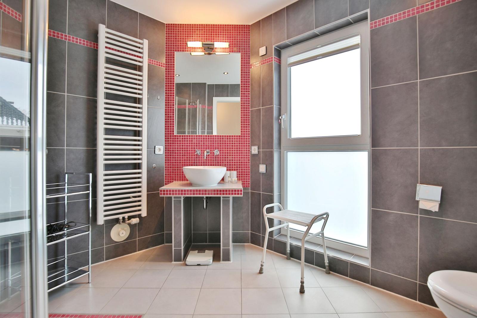 Badezimmer mit Dusche, Waschbecken und Toilette. Graue Fliesen mit roten Akzenten.