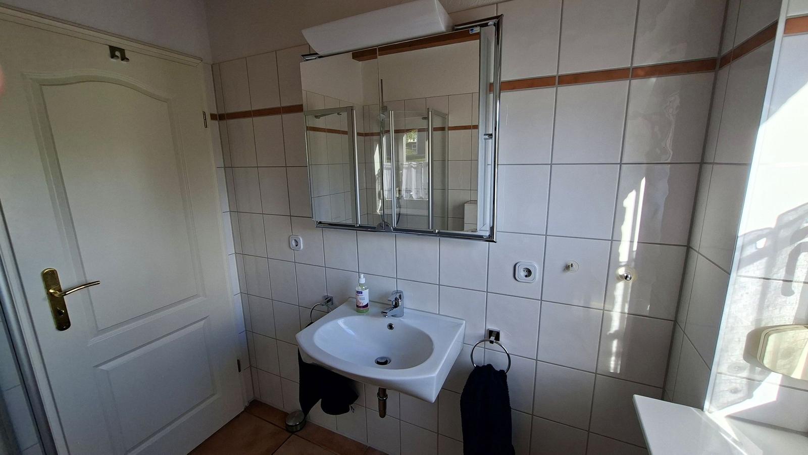 Bathroom with sink, mirror, and shower