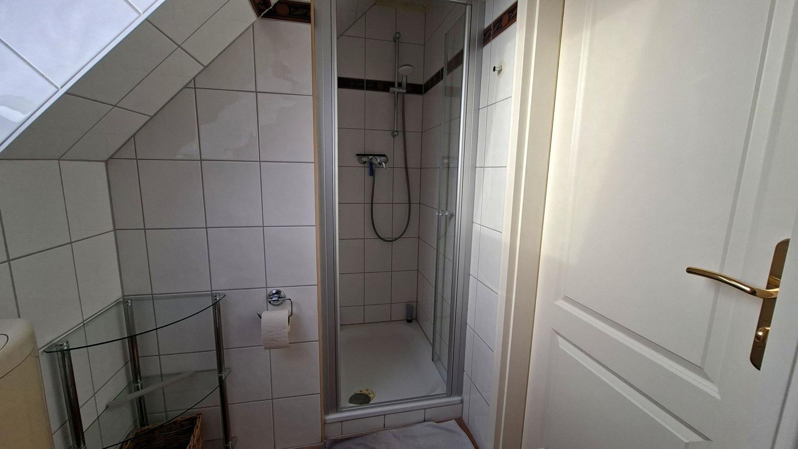 Bathroom with shower, toilet, and glass shelf under sloped ceiling.