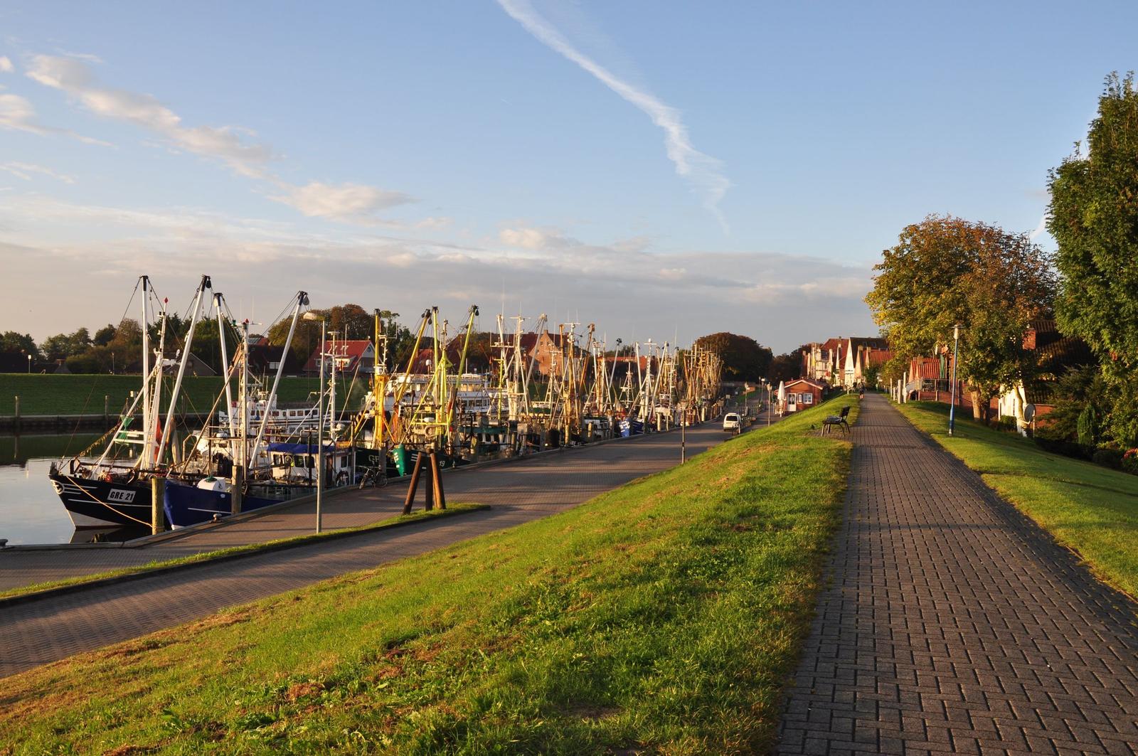 Hafen mit Fischerbooten und gepflastertem Weg entlang grüner Rasenfläche.