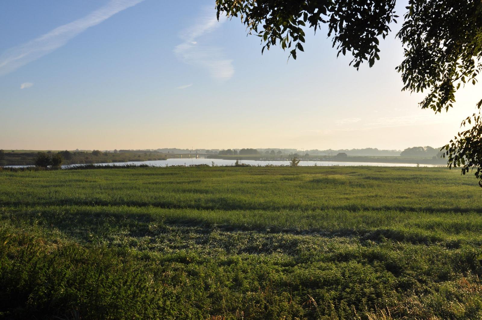 Weitläufiges Grünfeld mit Fluss und Brücke im Hintergrund, teilweise von Baumzweigen eingerahmt.