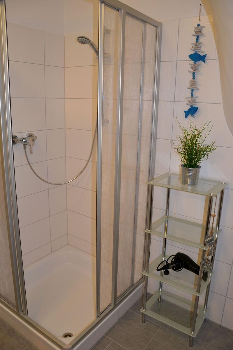 Duschkabine mit Glaswand, Duschbrause und kleinem Regal mit Pflanze und Haartrockner.