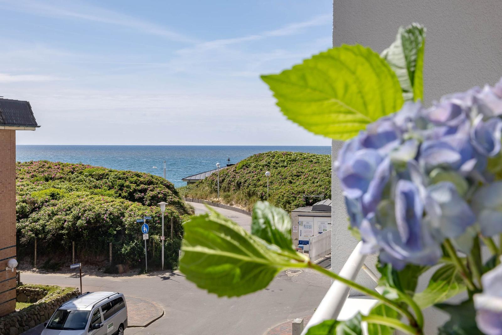 Blick auf das Meer von Balkon mit blauer Hortensie