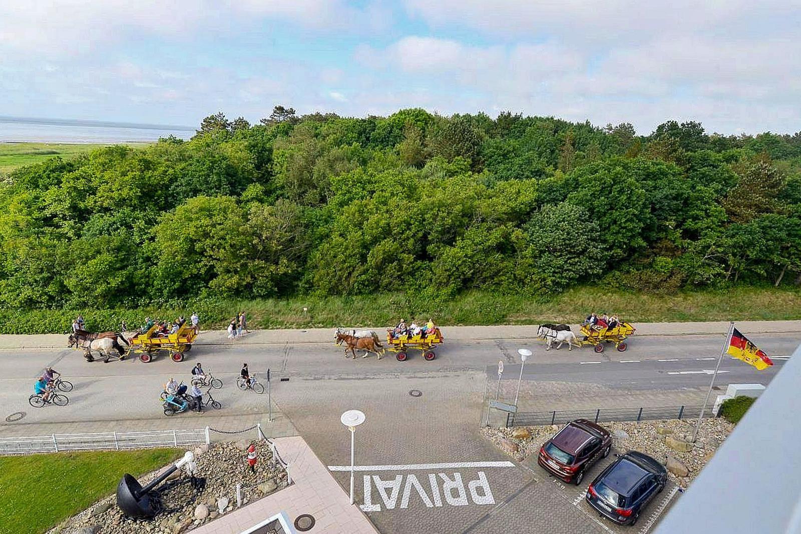 Horse-drawn carriages and cyclists on a road near a forest and beach.
