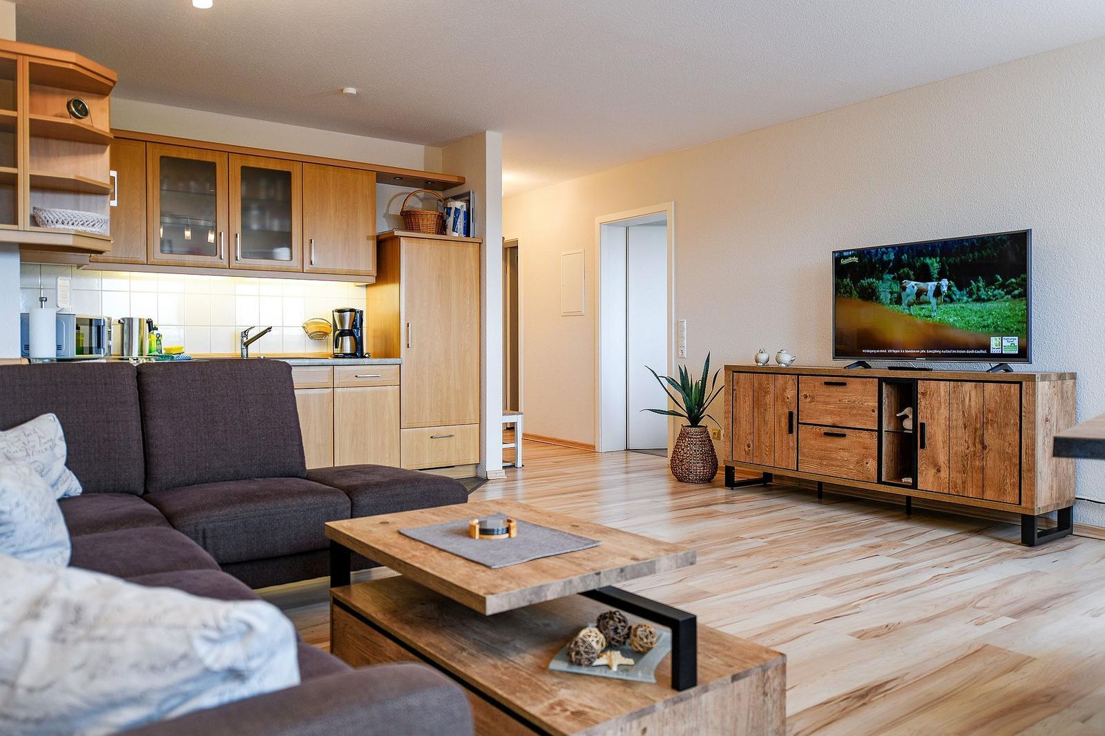 Wohnzimmer mit Sofa, Küchenzeile und Fernseher auf Holzregal.