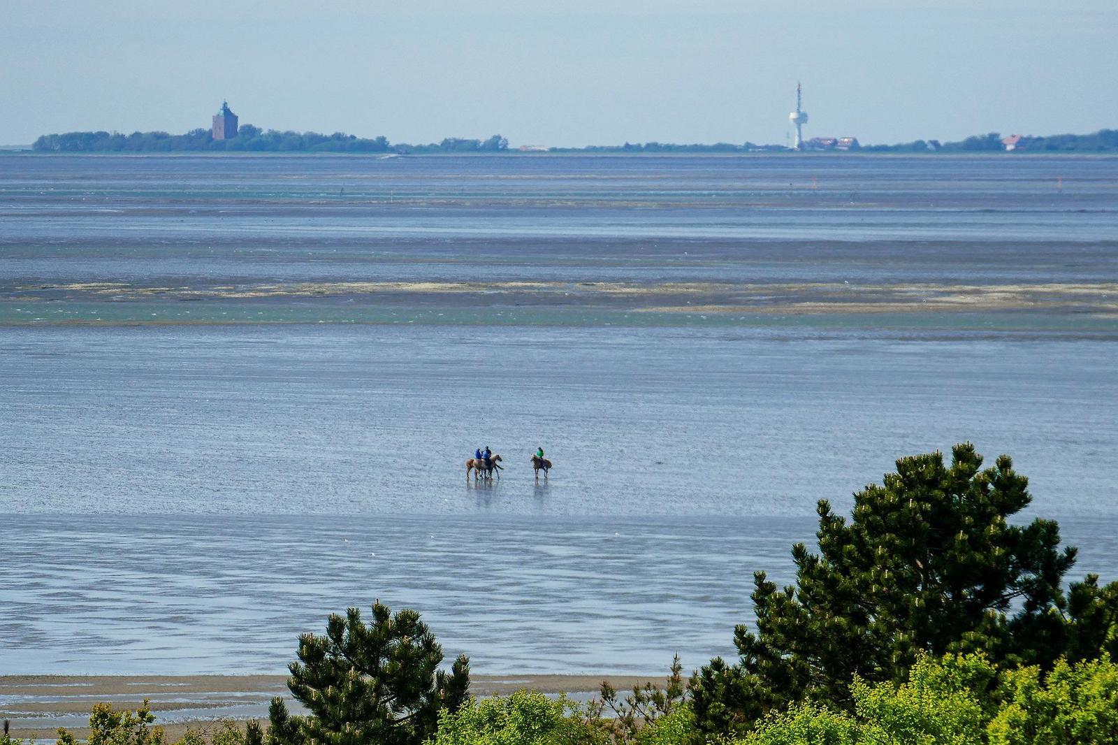 Zwei Reiter auf Pferden im flachen Wasser. Im Hintergrund sind Bäume und ein Turm sichtbar.