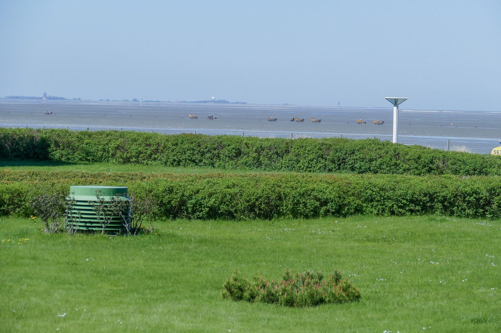 Grünes Grasfeld mit Hecken und Blick auf Watt mit Booten.