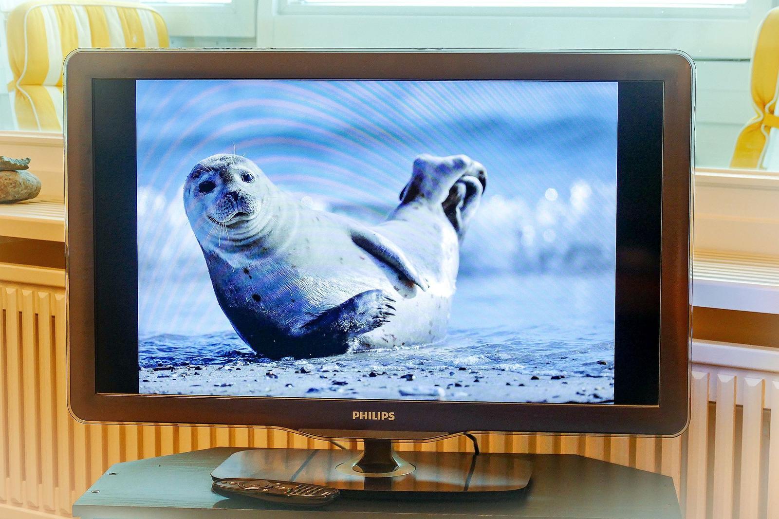 Flachbildfernseher zeigt ein Bild einer Seele in der Natur.