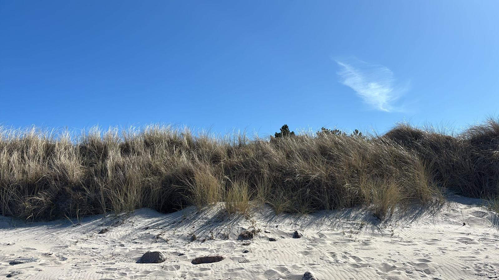 Strand mit Dünen und Gras unter blauem Himmel mit einer Wolke.