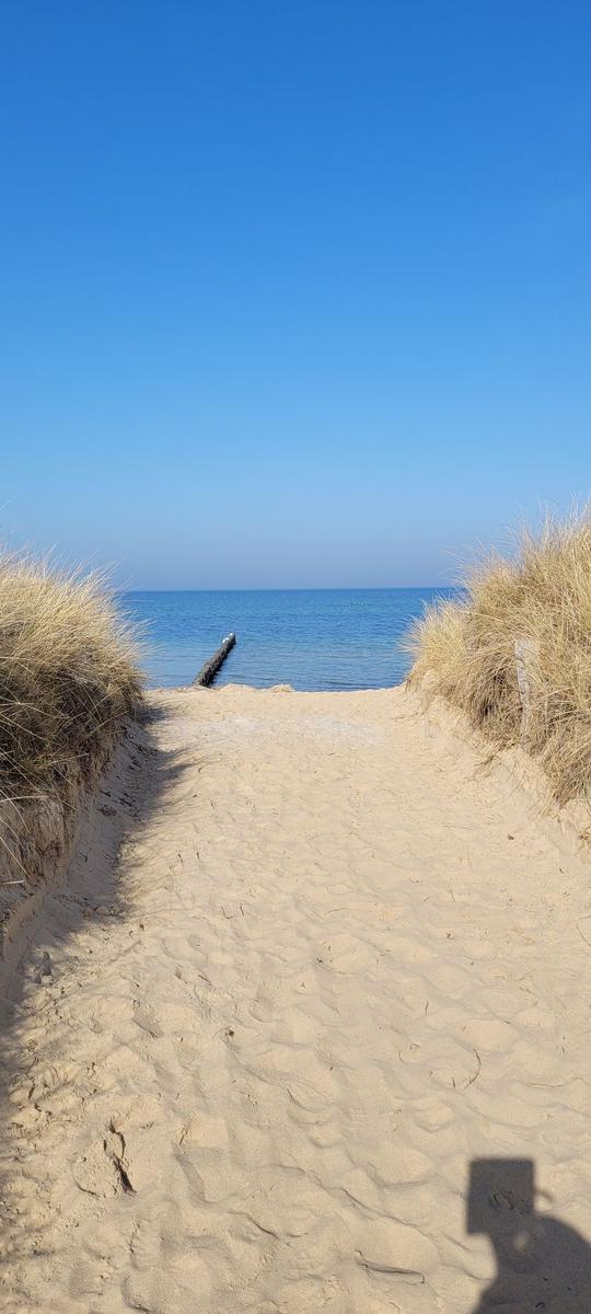 Sandweg zwischen Dünen führt zum Meer unter blauem Himmel.