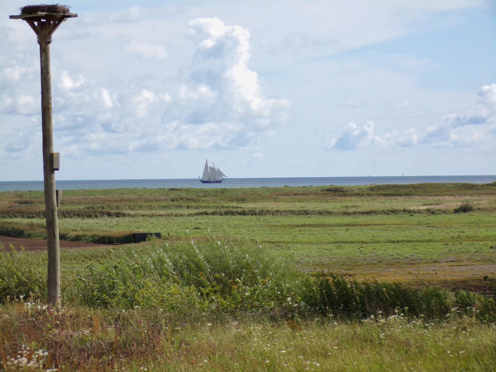 Schaumiges Meer mit Segelschiff, grüne Wiesen und Vogelbrutpfosten im Vordergrund.
