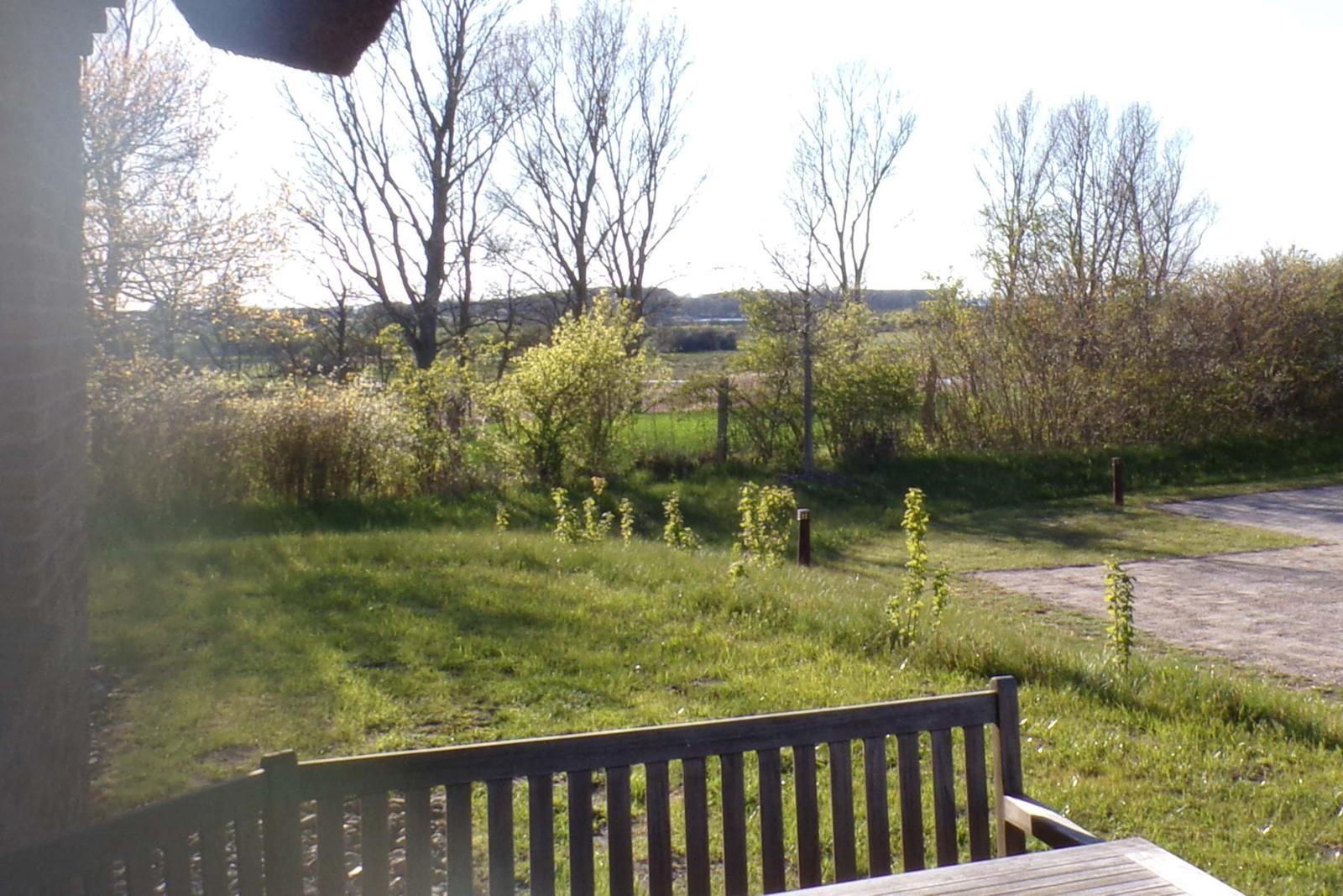 Grüner Garten mit Bänken und Bäumen im Hintergrund.