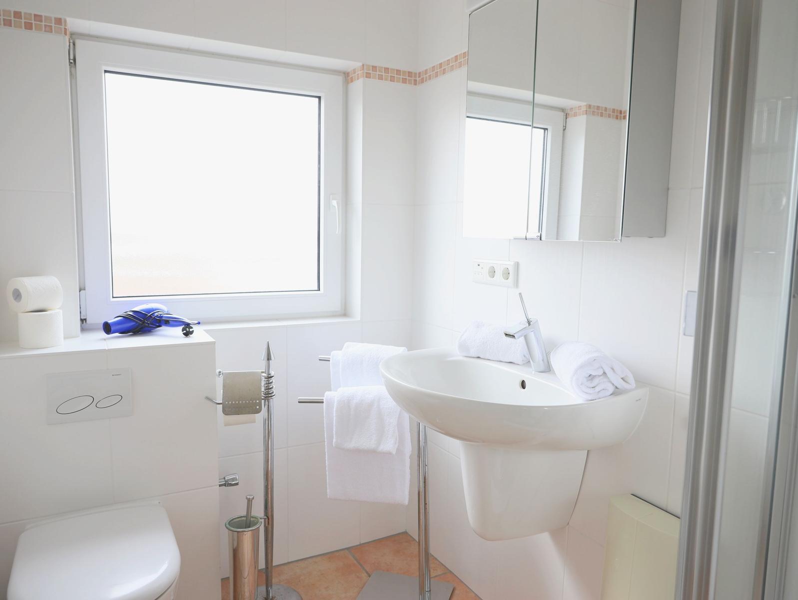 Badezimmer mit Waschbecken, Spiegel, Toilette und Dusche. Fenster mit Blick nach draußen.