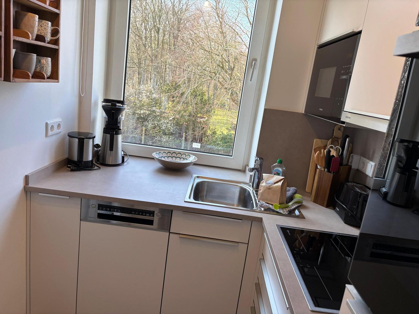 Küche mit Fenster, Spüle, Dunstabzug und Kochfeld.