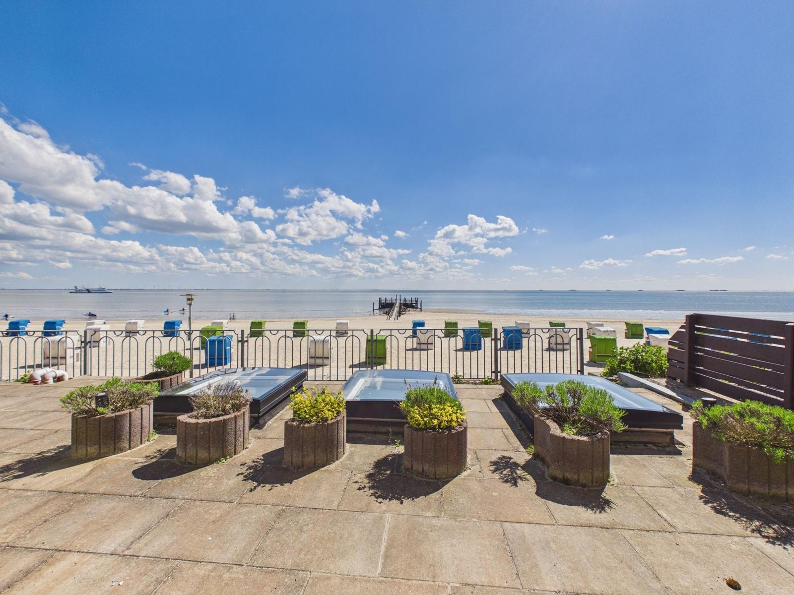 Terrace with plants and view of the beach and sea.