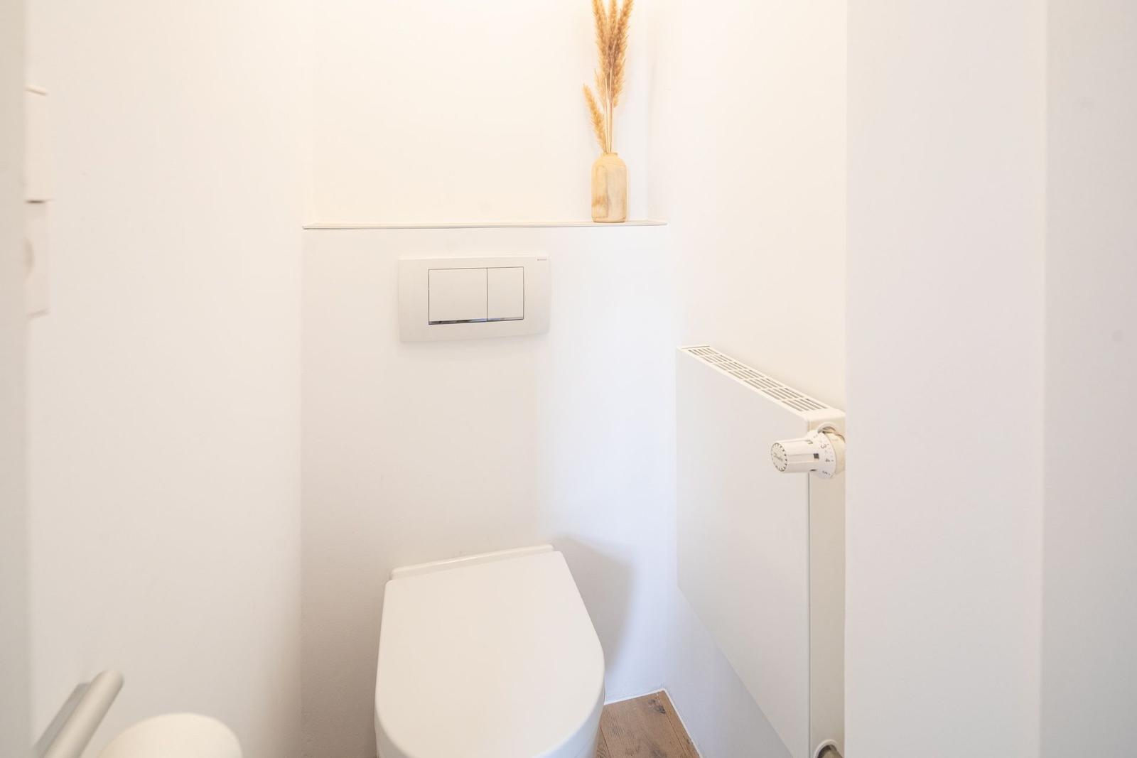 Toilette mit Heizkörper und dekorativer Pflanze auf Regal
