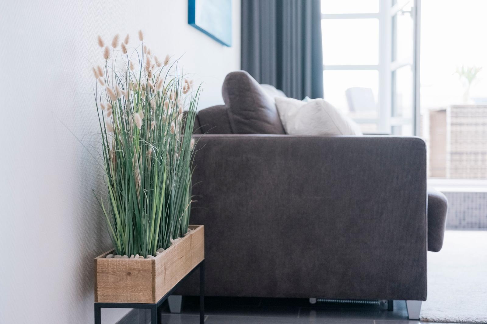 Ein grauer Sofa mit Kissen neben einer Pflanze in einem Holzkasten.